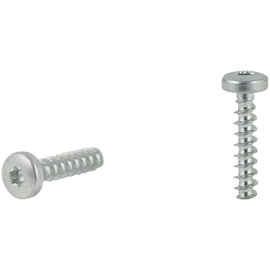 Self-Tapping Zinc Plated Screw