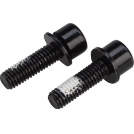 TRP - Spare - Mounting bolts(x2)for Flat Mount Rear cal 17mm